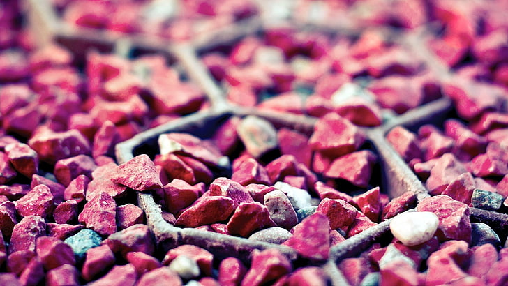 pink stones, tilt-shift photo of red and white pebbles, macro, HD wallpaper