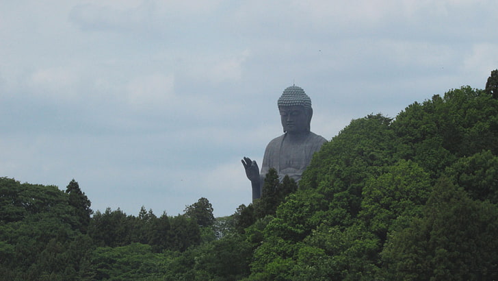 Buddha statue, Buddhism, forest, trees, green, plant, sky, cloud - sky, HD wallpaper
