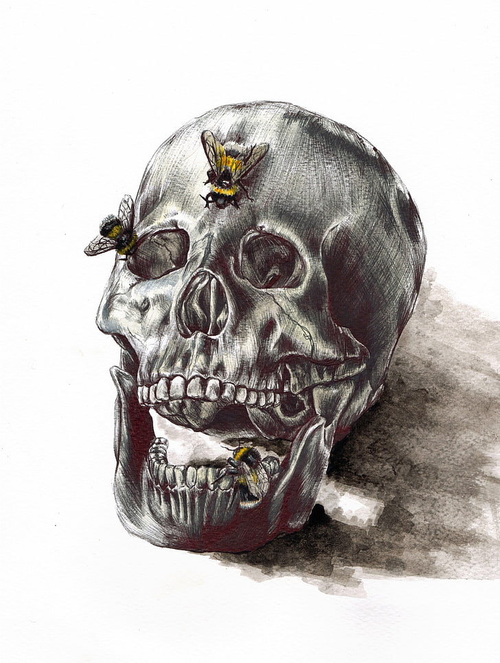 gray and black skull with bee sketch, artwork, bones, insect, HD wallpaper