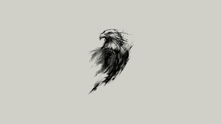 eagle sketch, bald eagle, birds, simple background, sketches, HD wallpaper