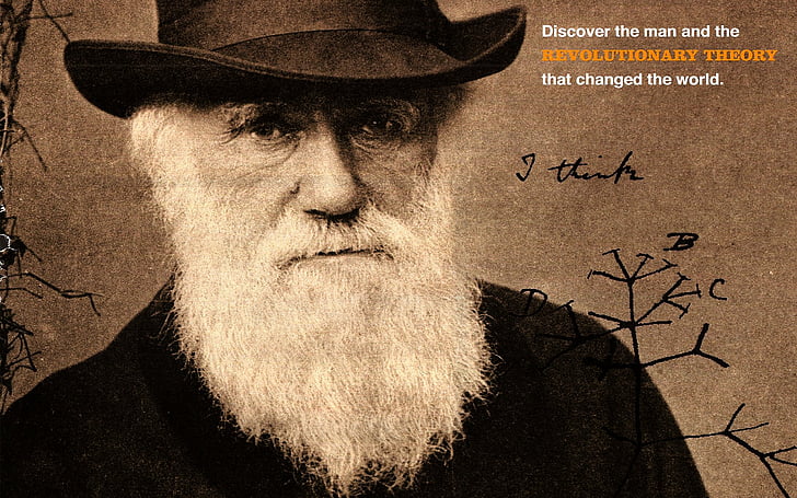 Men, Beard, Charles Darwin, HD wallpaper