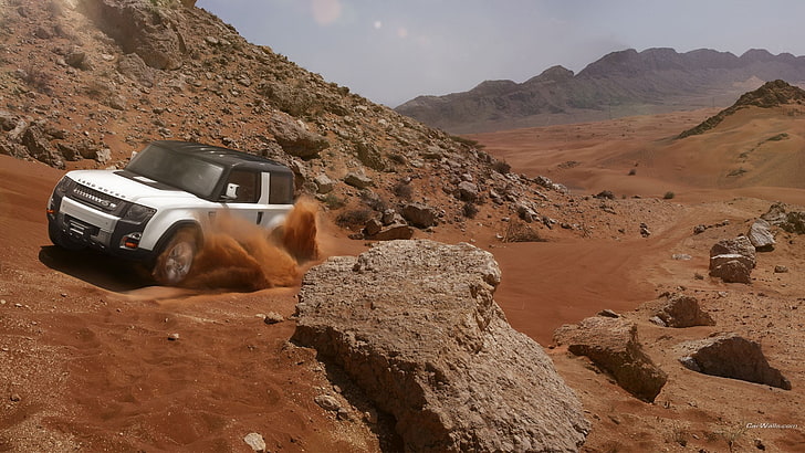 brown and white short coated dog, Land Rover DC100, concept cars