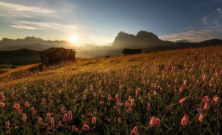 flowers, mountains, sunrise, dawn, morning, meadow, hut, Italy, HD wallpaper