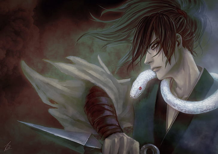 Video Game, Muramasa: The Demon Blade, Arashimaru (Muramasa), HD wallpaper
