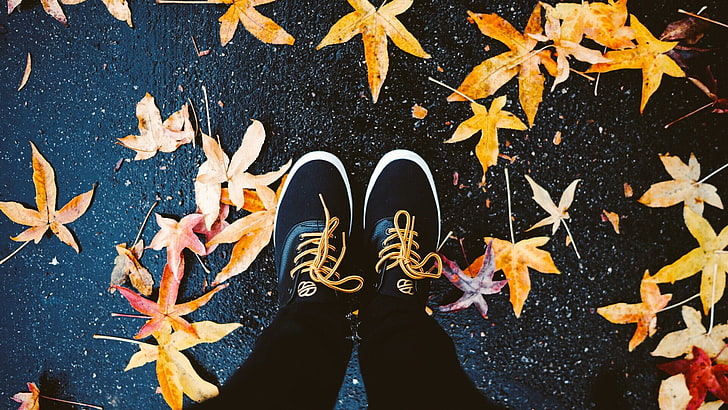pair of black-and-white low-top shoes, leaves, maple leaves, feet