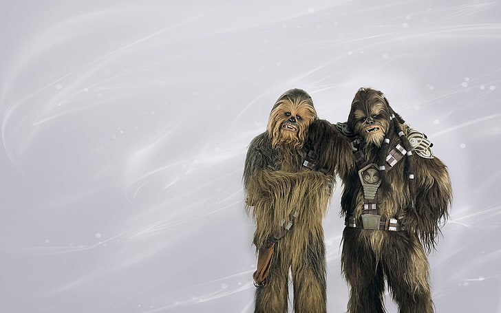 Chewbacca, Star Wars, Wookiees, Tarfful, two people, representation, HD wallpaper