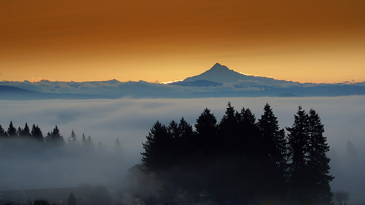foggy mountain forest ultra hd 8k image, beauty in nature, sky, HD wallpaper