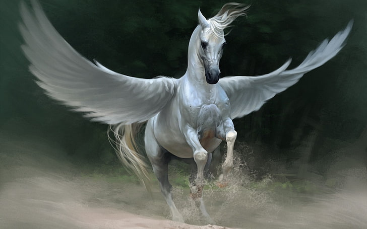 Pegasus, artwork, fantasy art, horse, wings, flying, bird, animal themes, HD wallpaper
