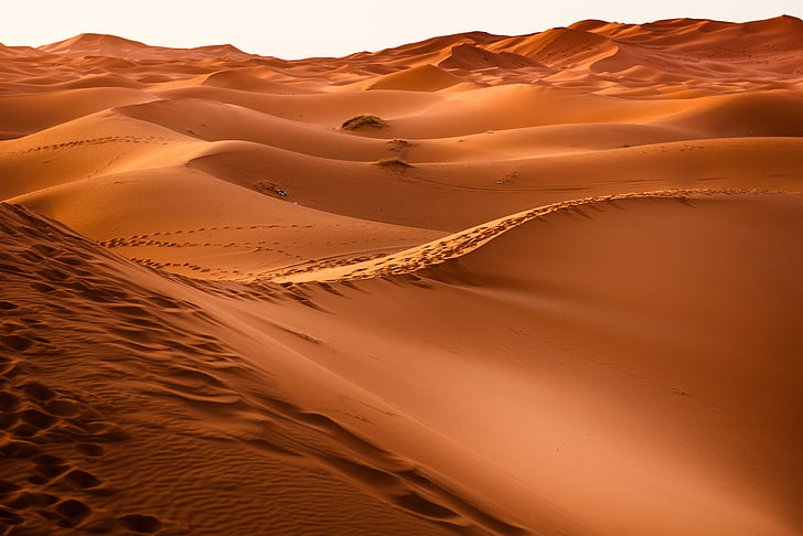desert, morocco, dune, sand, sand Dune, nature, sahara Desert, HD wallpaper