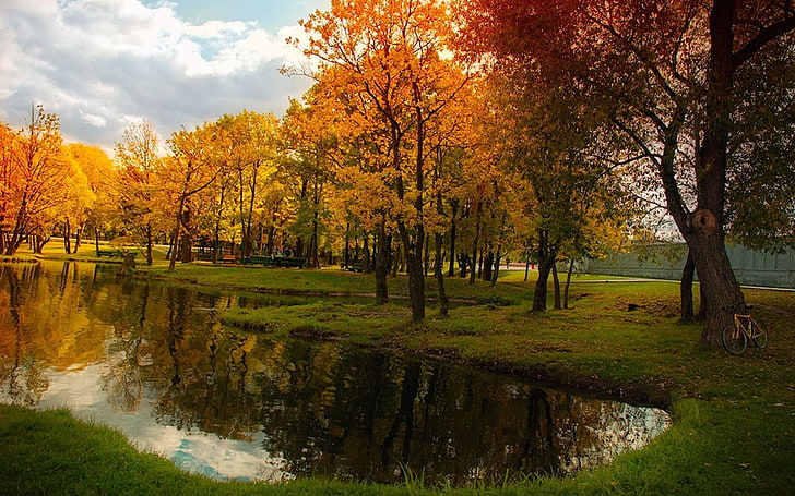 landscape, nature, pond, fall, bicycle, trees, reflection, Russia, HD wallpaper