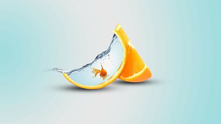 Orange, Fruit, Orange, Fish, Water, HD wallpaper