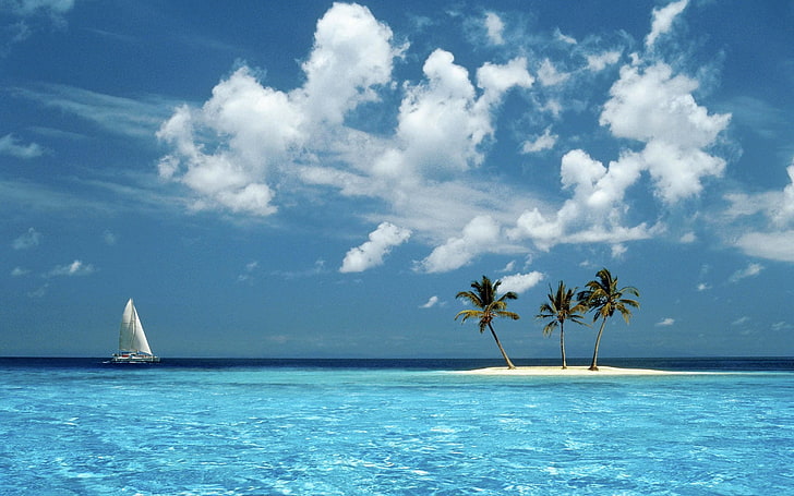 nature, landscape, island, palm trees, Windows 98, sky, cloud - sky, HD wallpaper