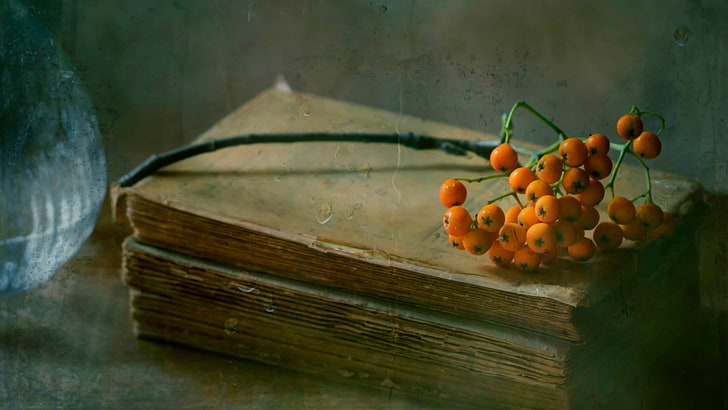 orange fruits on book, vintage, books, sea buckthorn, healthy eating, HD wallpaper