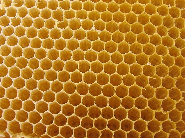 honey, nature, honeycombs, close-up, backgrounds, pattern, no people, HD wallpaper
