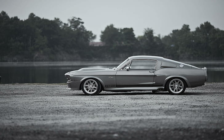 Ford Shelby GT500, car, mustang gt500, Eleanor (car), monochrome