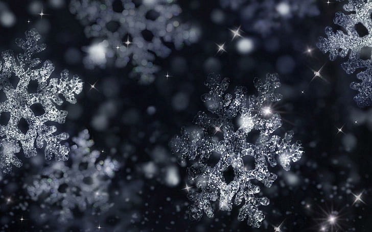 Iced snowflakes, snowflakes illustration, nature, 1920x1200, winter