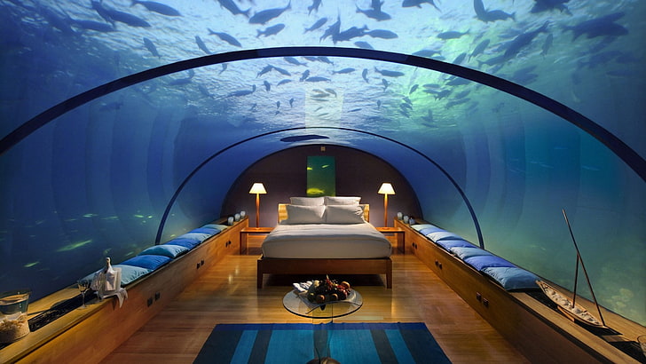 hotel, bed, interior, lamp, fish, aquarium, indoors, glass - material