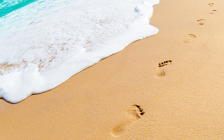 Footprints in the Sand, brown sand, sea, HD wallpaper
