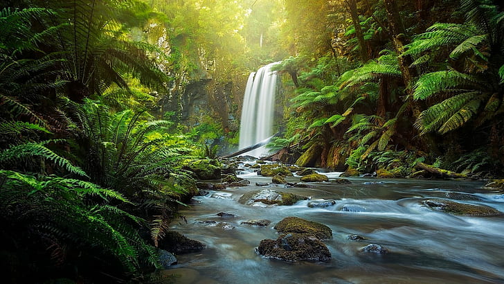 Great Otway National Park, Australia, brown and green stream, HD wallpaper