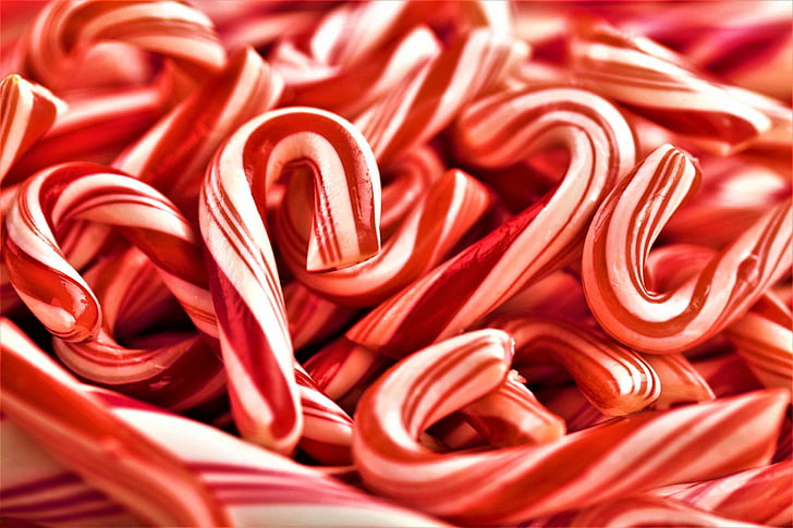 Holiday, Christmas, Candy Cane, Food, HD wallpaper
