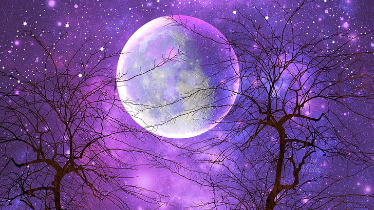 Artistic, Moon, Purple, Sky, Starry Sky, Tree