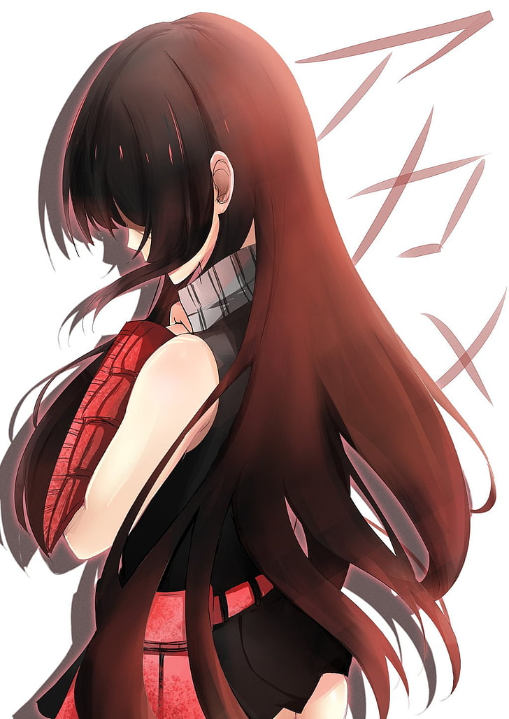 Akame ga Kill!, anime girls, red, women, beauty, adult, one person