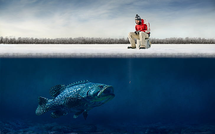 HD wallpaper: Big, fish, fisherman, fishing, funny, guy, hooks, humor, ice  | Wallpaper Flare