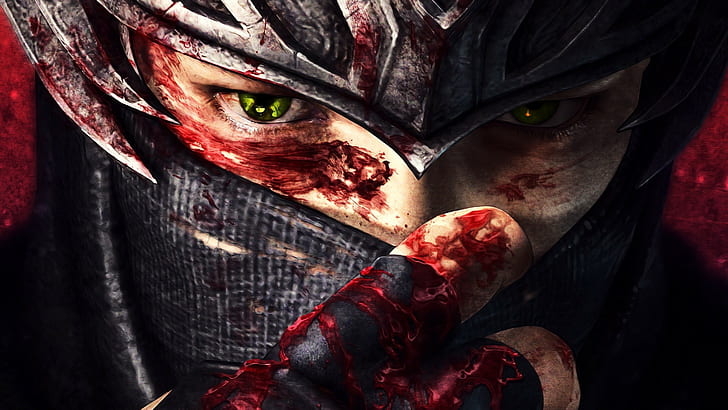Ninja Gaiden Blood HD, video games