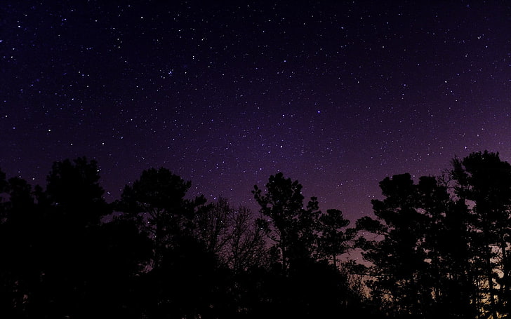 silhouette of trees, stars, night, landscape, starry night, long exposure