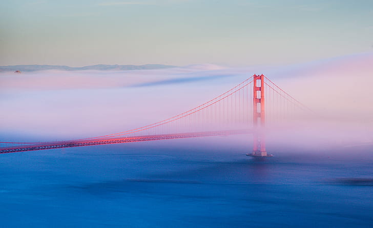 Golden Gate foggy photography, Cotton Candy, Spread, Low, San Francisco  Golden Gate, HD wallpaper