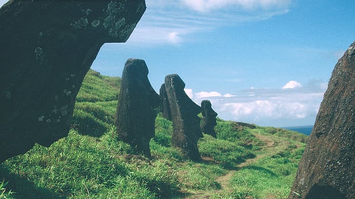 film grain, nature, green, plants, summer, Moai, Easter Island