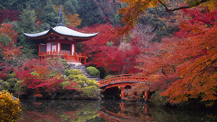 white and brown wooden house, Japan, Kyoto, Daigo, autumn, kyoto City, HD wallpaper