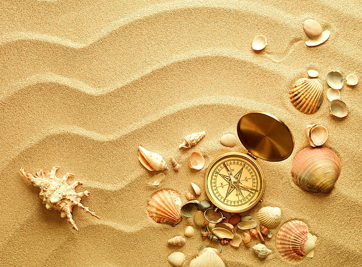 assorted shells and compass, sand, beach, animal Shell, sea, vacations, HD wallpaper