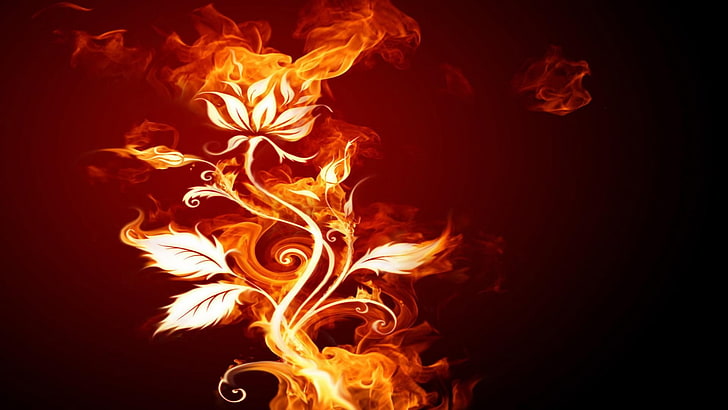 orange flower illustration, abstract, burning, heat - temperature, HD wallpaper