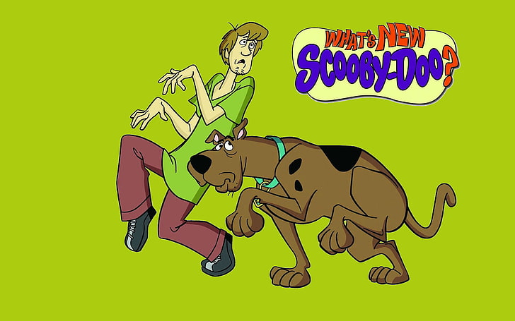 Shaggy Scooby Doo, Scooby-Doo and Shaggy wallpaper, Cartoons, HD wallpaper