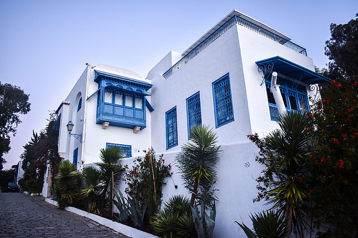 blue, blue hour, sidi bou said, tree house, tunisia, white house, HD wallpaper