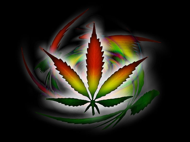 HD wallpaper: 420, cannabis, drug, drugs, marijuana, nature, plant,  psychedelic | Wallpaper Flare