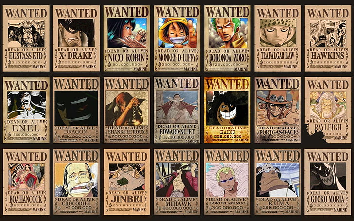 anime, One Piece, Wanted
