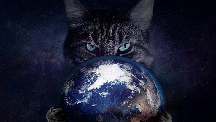 black cat, space, Earth, mammal, feline, sphere, domestic cat, HD wallpaper