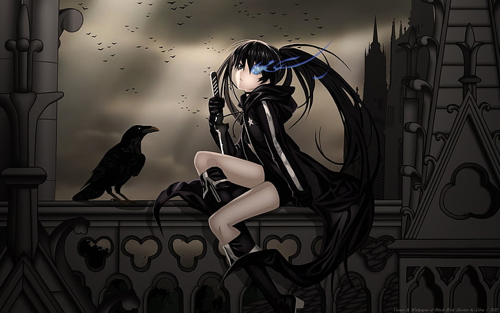 Black Rock Shooter, indoors, one person, young women, representation