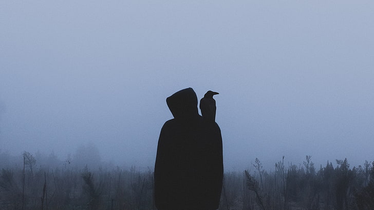 silhouette, crow, hood, loneliness, fog, standing, one person
