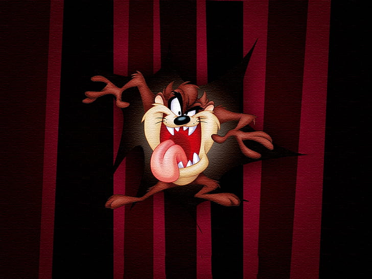 Hd Wallpaper Disney Looney Tunes Tasmanian Devil