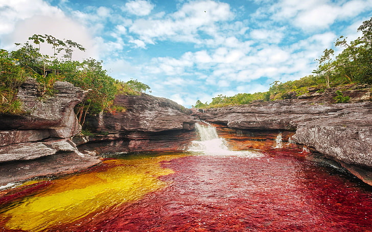 Cano Cristales Colombian River Called The River Of Five Colors Or Rainbow Liquid Flow Of The River Guayabero 3840×2400, HD wallpaper