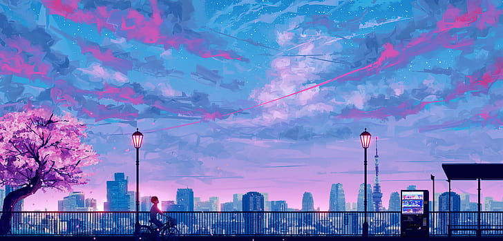 the sky, sunset, bike, Sakura, guy, stop, by SeerLight