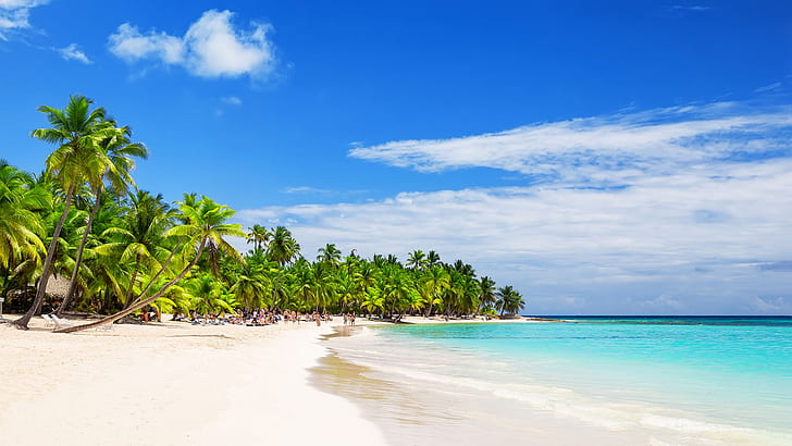Arena Blanca Beach Dominican Republic White Sandy Beaches Coconut Palm Trees Tropical Wallpaper Hd 2560×1440
