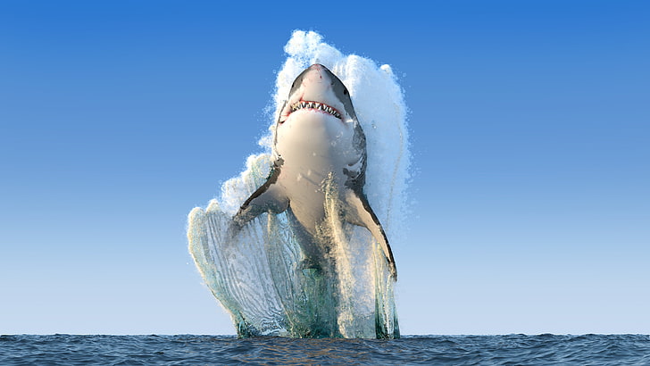 Great White Shark, render, sea, fangs, Photoshop, water, sky, HD wallpaper