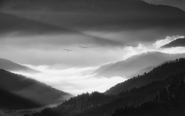 white and black area rug, nature, landscape, morning, mist, Alps, HD wallpaper