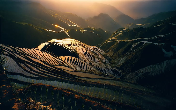 China, water, mountains, sunlight, hills, landscape, terraced field, HD wallpaper