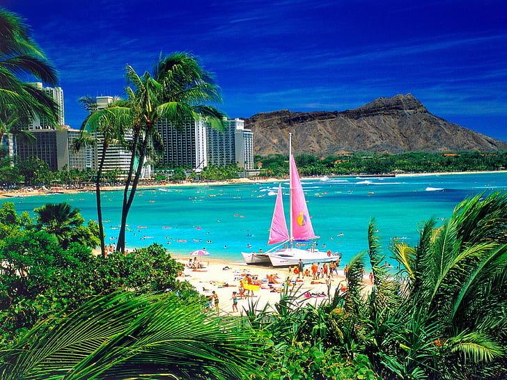 Waikiki Oahu Hawaii, green trees and blue sea, HD wallpaper