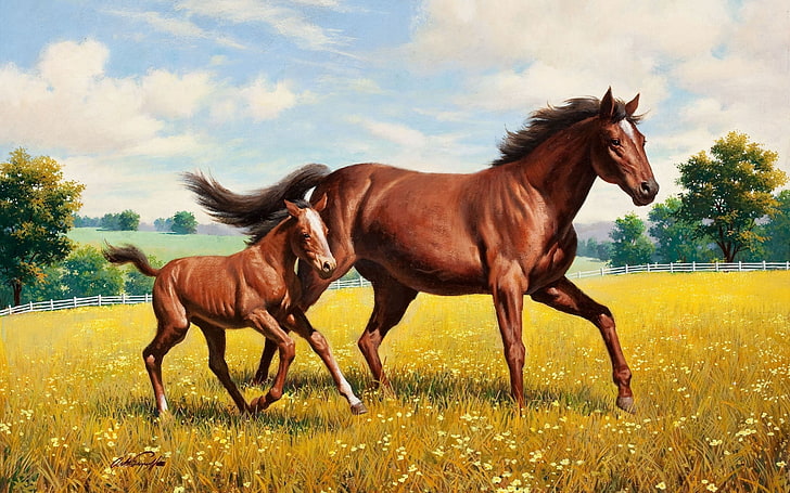 two brown horses painting, stallion, grass, meadow, running, animal